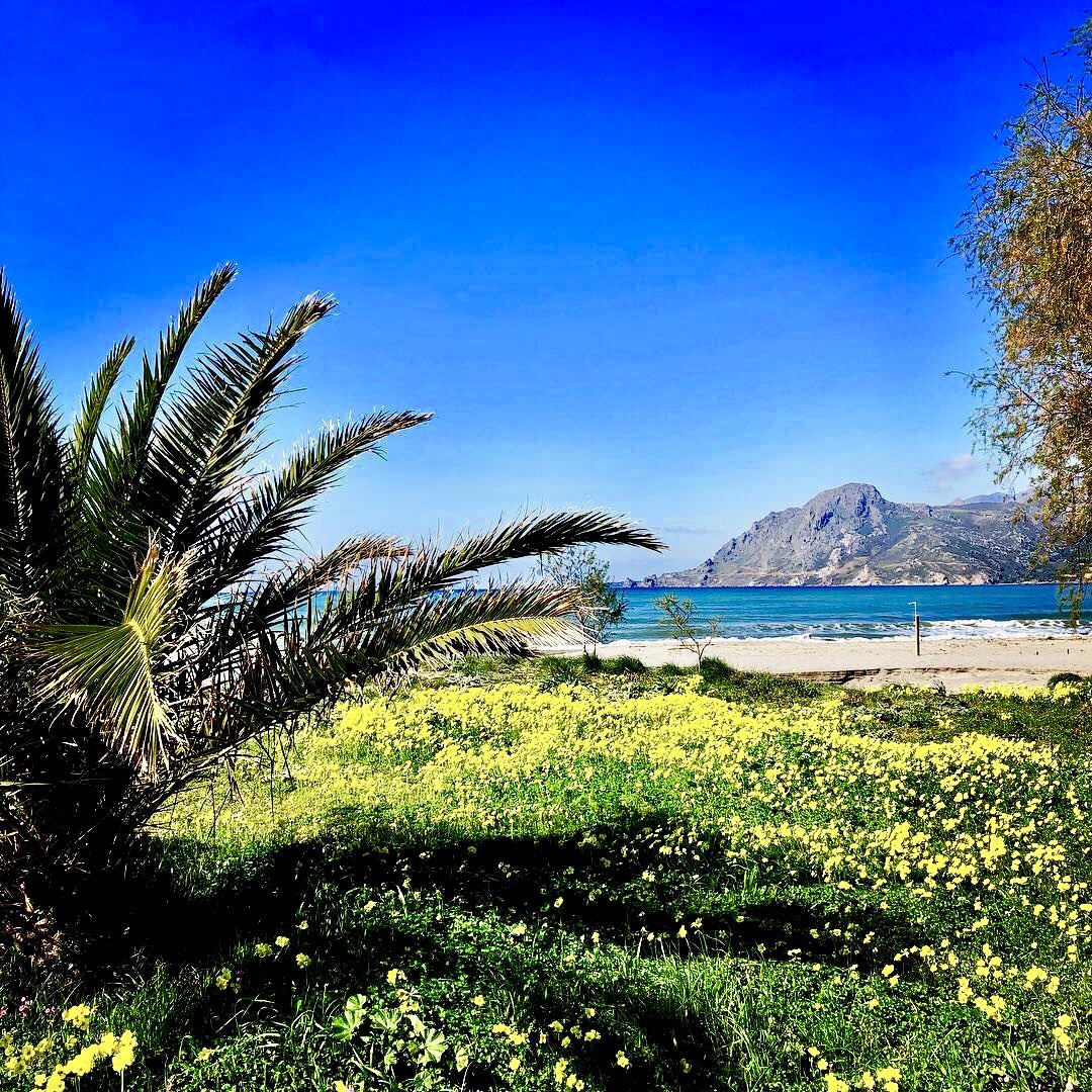 plakiassuites's tweet photo. Hello #Spring🌻🌞 
#March #Plakias https://t.co/cTkQ3nY20I