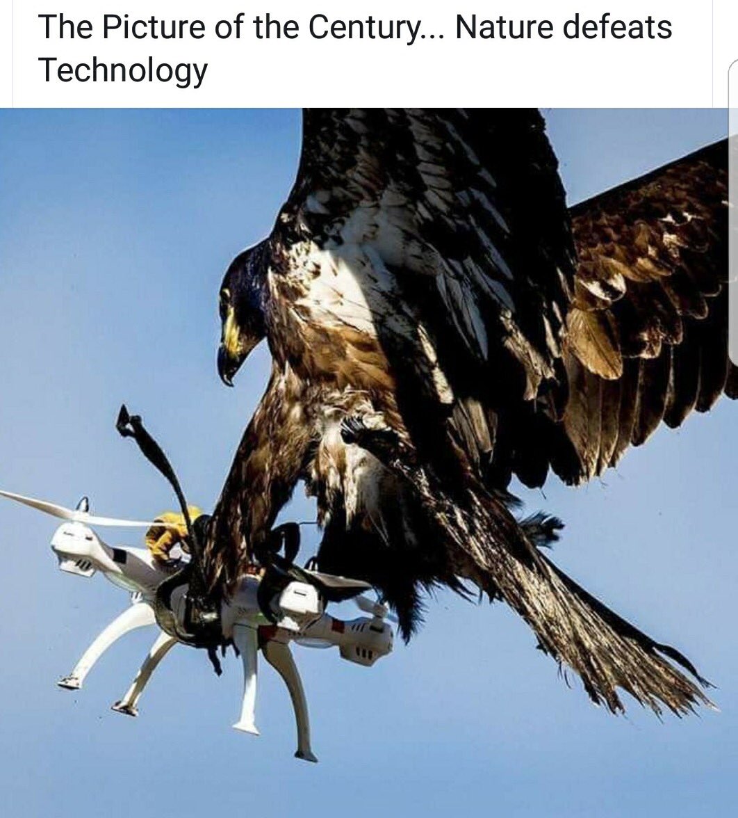 DronzCanada's tweet photo. https://t.co/Y08OT3Lppi