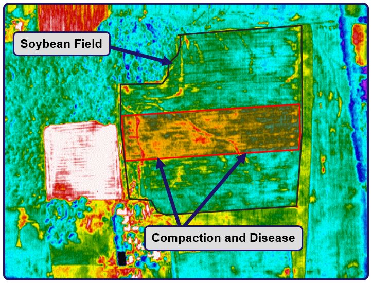 BottomLineSolu1's tweet image. Excited to Announce a New Partnership with AirScout. A Proven Approach to Modern Crop Scouting. Scouting Starts in the Air. #BLSPrecisionAgSource

bottomline-solutions.net