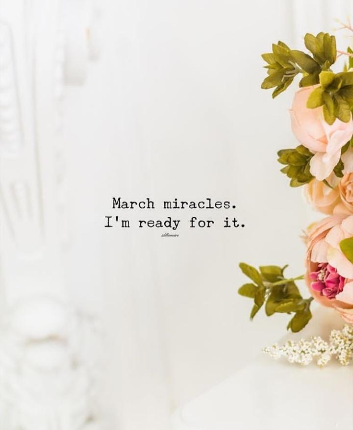 svoicesunite's tweet photo. Hello #March #WvuMovement #WVUEthiopia #wvudiredewa #WomensMonth ♥️ https://t.co/zCcuXII2fh