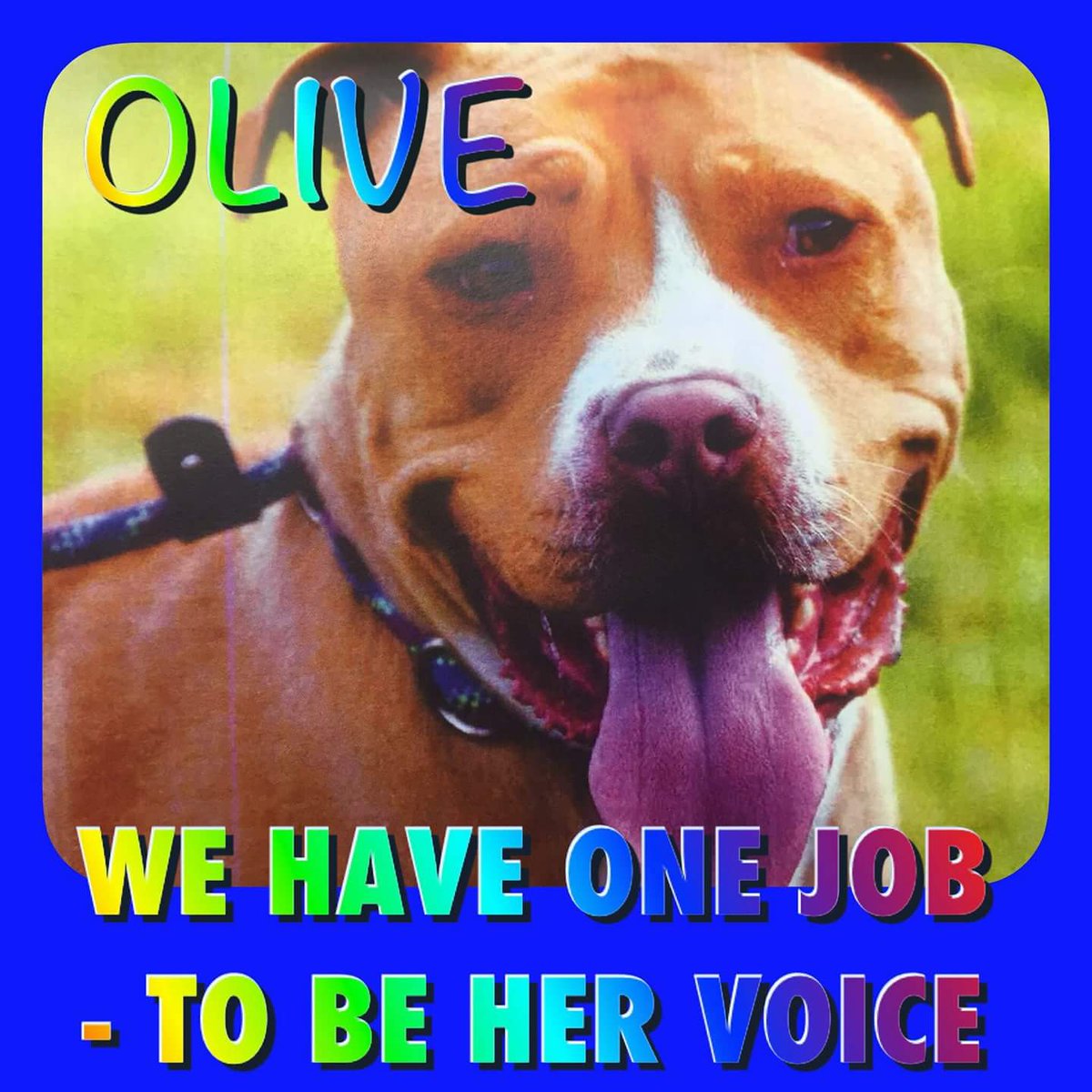 Olive Update 

COURT DATE CONFIRMED.
HARROW CROWN COURT. 23RD &amp; 24TH MAY 2019