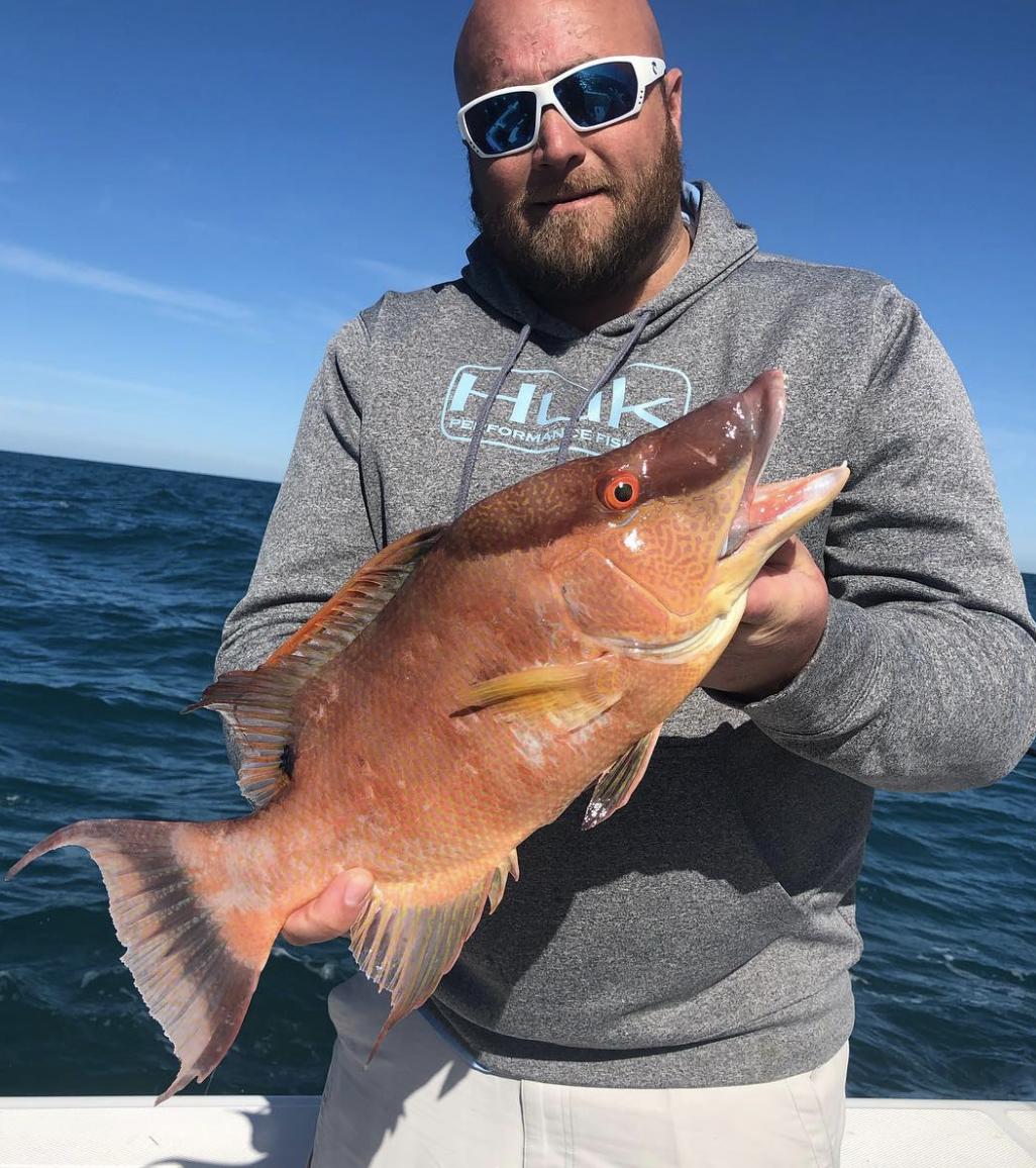 benth_roller's tweet photo. RT https://t.co/wSzA6PC6Oe RT https://t.co/gVRxfeDMxW RT @CoastalFishingC: Check out this catch! . #costa #gulfofmexico #tidalwaters #bluewater #offshore #fishing #adventures #offshorefishin… https://t.co/clvtdxbncC