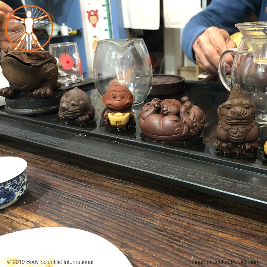 bodyscientific's tweet image. Upon arrival in China, my friends make sure I am well fed. #bodyscientific #bodyscientificinternational #anatomicalmodel #internationalbusiness #businesstravel #china #Guangdong