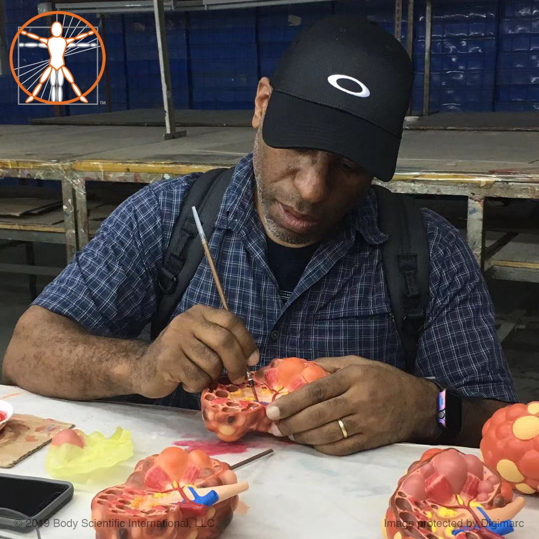 bodyscientific's tweet image. I like to oversee production, especially when details need to be just right. Who else jumps on a plane, travels thousands of miles, and grabs a paintbrush? #bodyscientific #bodyscientificinternational #anatomicalmodel #internationalbusiness #businesstravel #production