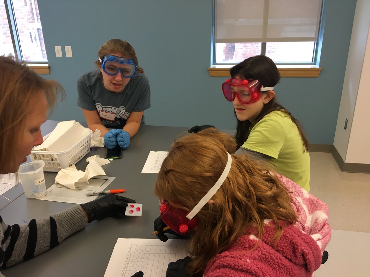 TheGeniusCorps's tweet photo. It’s #flashbackfriday! Here’s photos from our #ValentinesDay inspired lab- blood typing! ❤️#biology #health #thegeniuscorps #GCASDproud https://t.co/UpEBoaIy2V