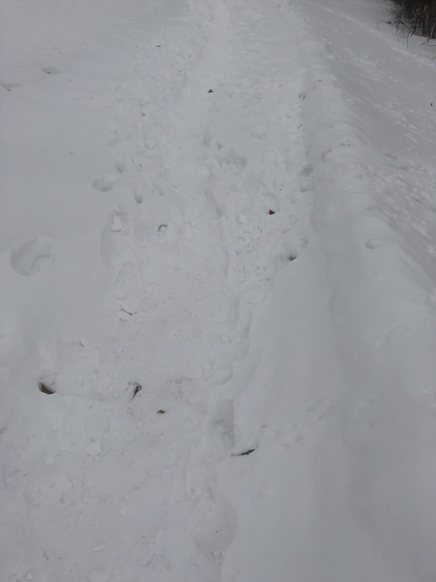 toddgoldrick's tweet photo. @WestDesMoinesIA can you please come plow the trails. My kids walk these trail to school and many of us use it to run or walk our dogs. https://t.co/4bnWZsg4Ul
