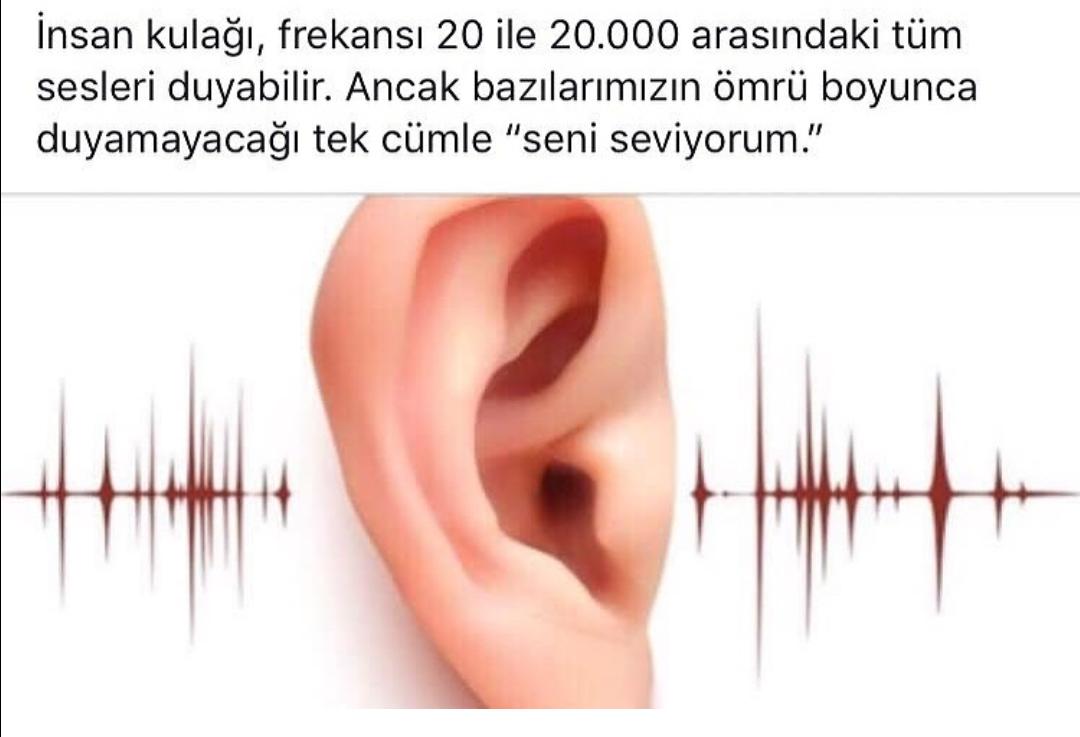 gizemli bir yasam (@sacmasapanweb) on Twitter photo 