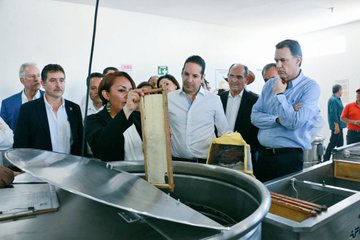 Ver imagen en Twitter