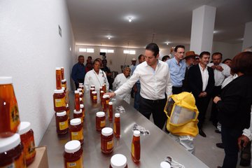 Ver imagen en Twitter