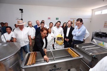 Ver imagen en Twitter