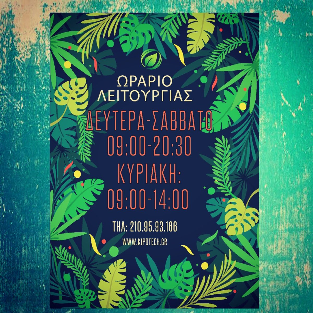 kipotech's tweet photo. Καλό μήνα! #1stmarch #springtime #timeforflowers @ Κηποτεχνική Καλλιθέας https://t.co/LbMyGPBI1B https://t.co/sdfATwfqhN