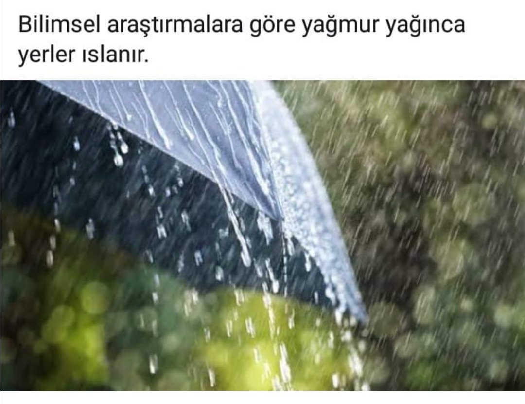 gizemli bir yasam (@sacmasapanweb) on Twitter photo 