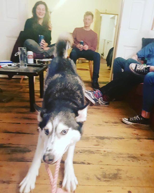 StudentWindsurf's tweet image. How to run a good swa event: have a dog at the host house! ift.tt/2TlIyKe