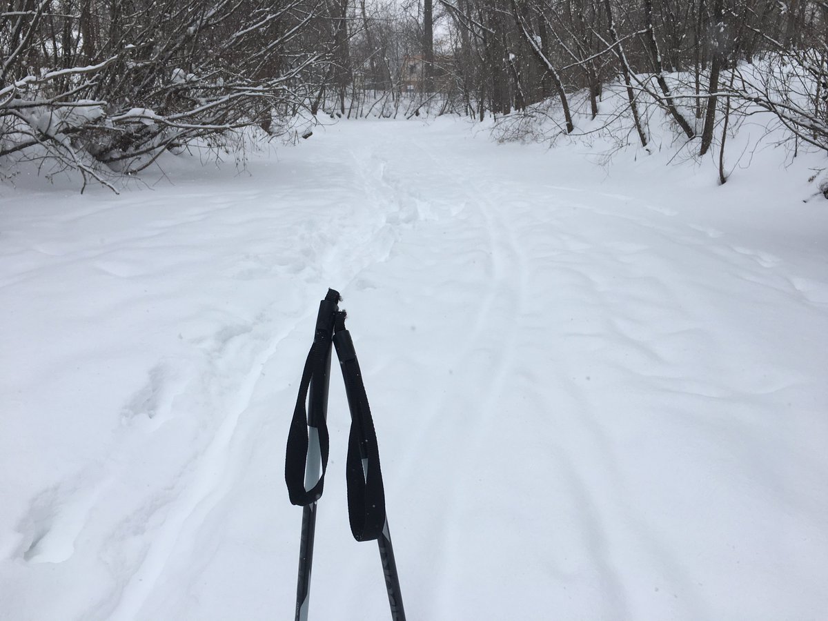 Can you cross country ski on a frozen creek in your city proper? #bragmpls