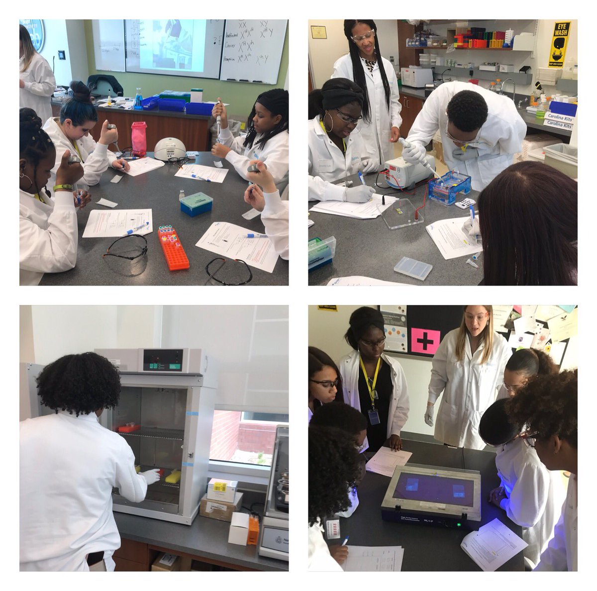 msuttonsrmhs's tweet photo. AOBS students learning about micropipetting, genetics and gel electrophoresis @biogen @SRMHSPrincipal @SRMHSpride @STC_WCPSS https://t.co/Q8ODkrYhrm