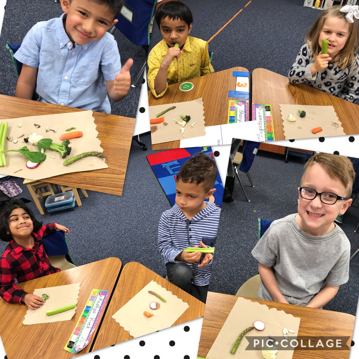 CherryErtsos's tweet photo. Flowers, leaves, stems, seeds, and roots. We observed and discussed the traits of each group and got new plant parts to eat. So proud they tried new foods!! 🌱 🥕 🥦 Thank you parents for sending in supplies for this yummy science! @LindseyElem #partsofplants
#wedoscience https://t.co/sK39fce9Im