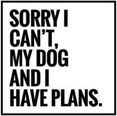 UrbanPawPet's tweet photo. Wild Friday night with our four legged babies https://t.co/ztvpU6ecaa