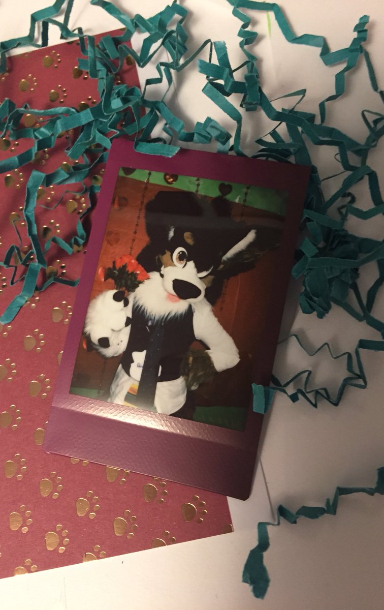 DeliriousCorgi's tweet photo. Delirious went to a school dance, what a romantic scoundrel he is 😌😪
#fursuitfriday #furry #dcvi https://t.co/jZElZSss1L