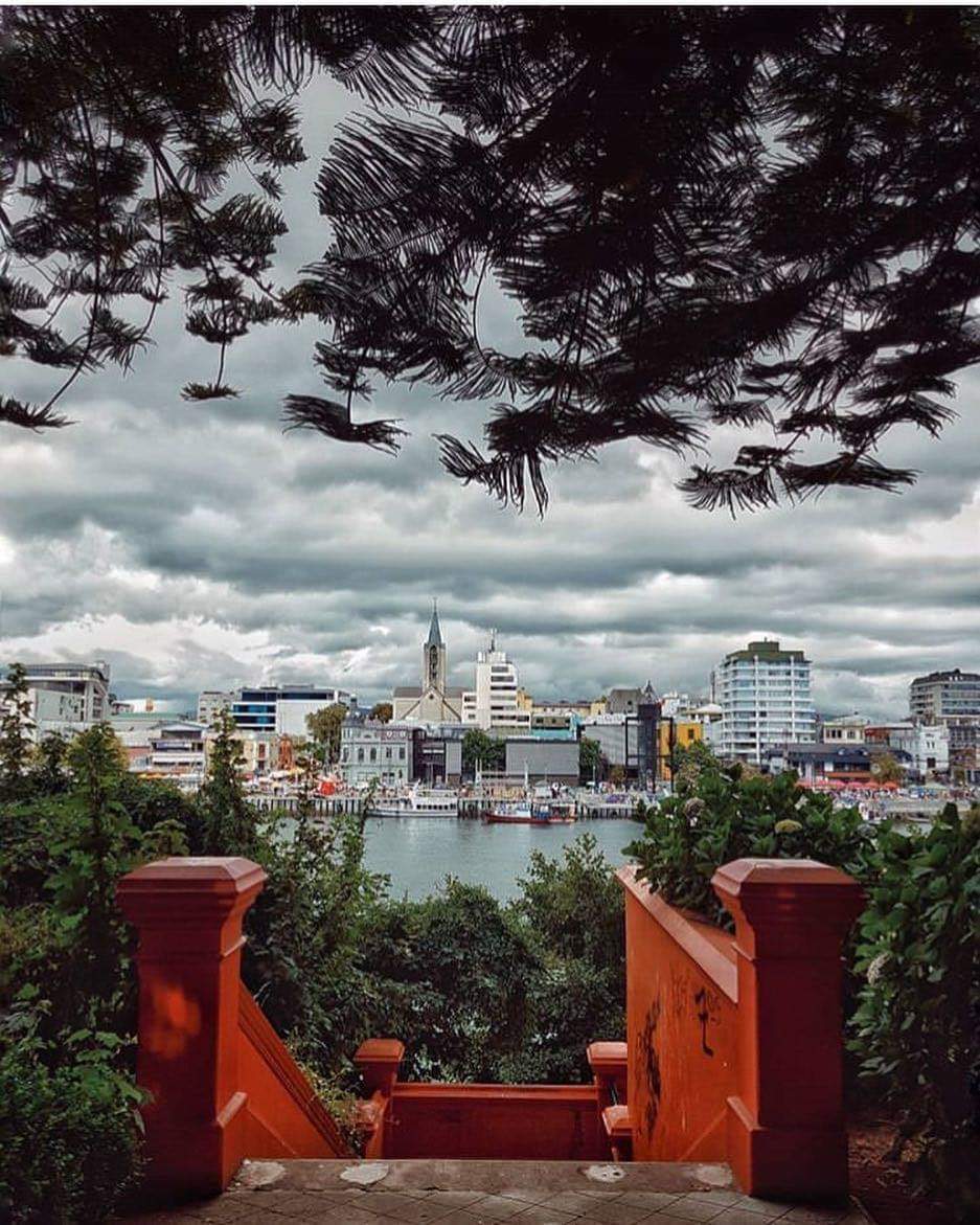 TurismoEnChile's tweet photo. 🌼 Con sol, con lluvia o nublado, siempre es una buena idea visitar Valdivia 🌼 
Fotos de @vidaenvaldivia

#TurismoEnChile 🇨🇱 https://t.co/qJo9cIHuOx