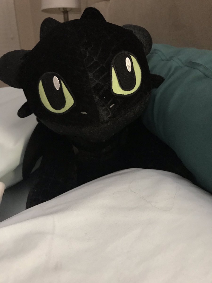 sassafrass187's tweet photo. This little guy keeps me company every night. His little voice box makes me giggle with his growls &amp; burps.  #hieronymus #adoptedkid #mylittleprotector #dragon #nevertoooldforgiftsthatcuddle https://t.co/zf8o5i29At