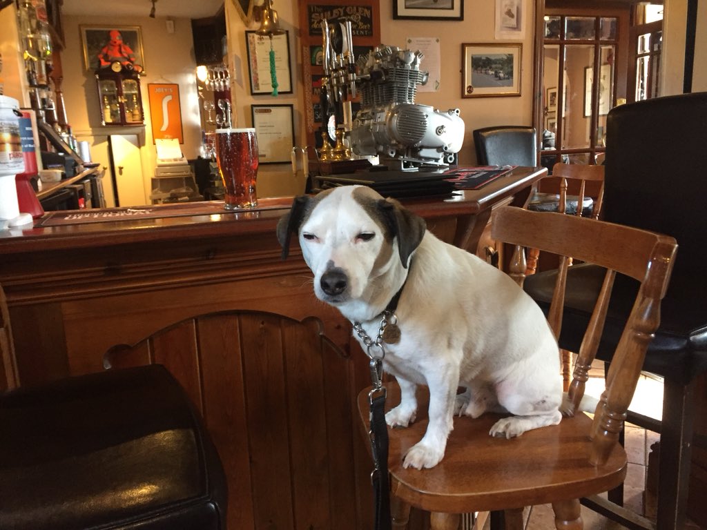 HarrogateDogs's tweet image. Fabulous day @visitisleofman today. Went to #Ballaugh and #Sulby. Had to buy da hooman a pint after walking all day.