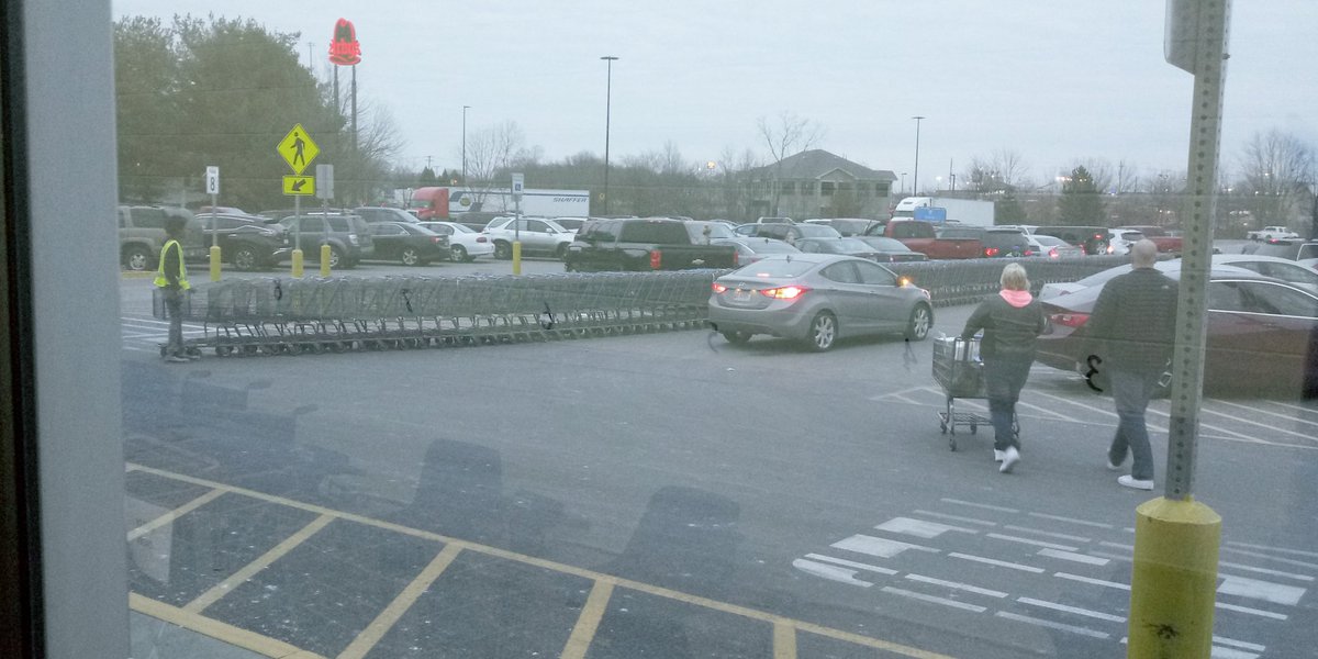 🍃Iridian Willowglen🍃 tweet media