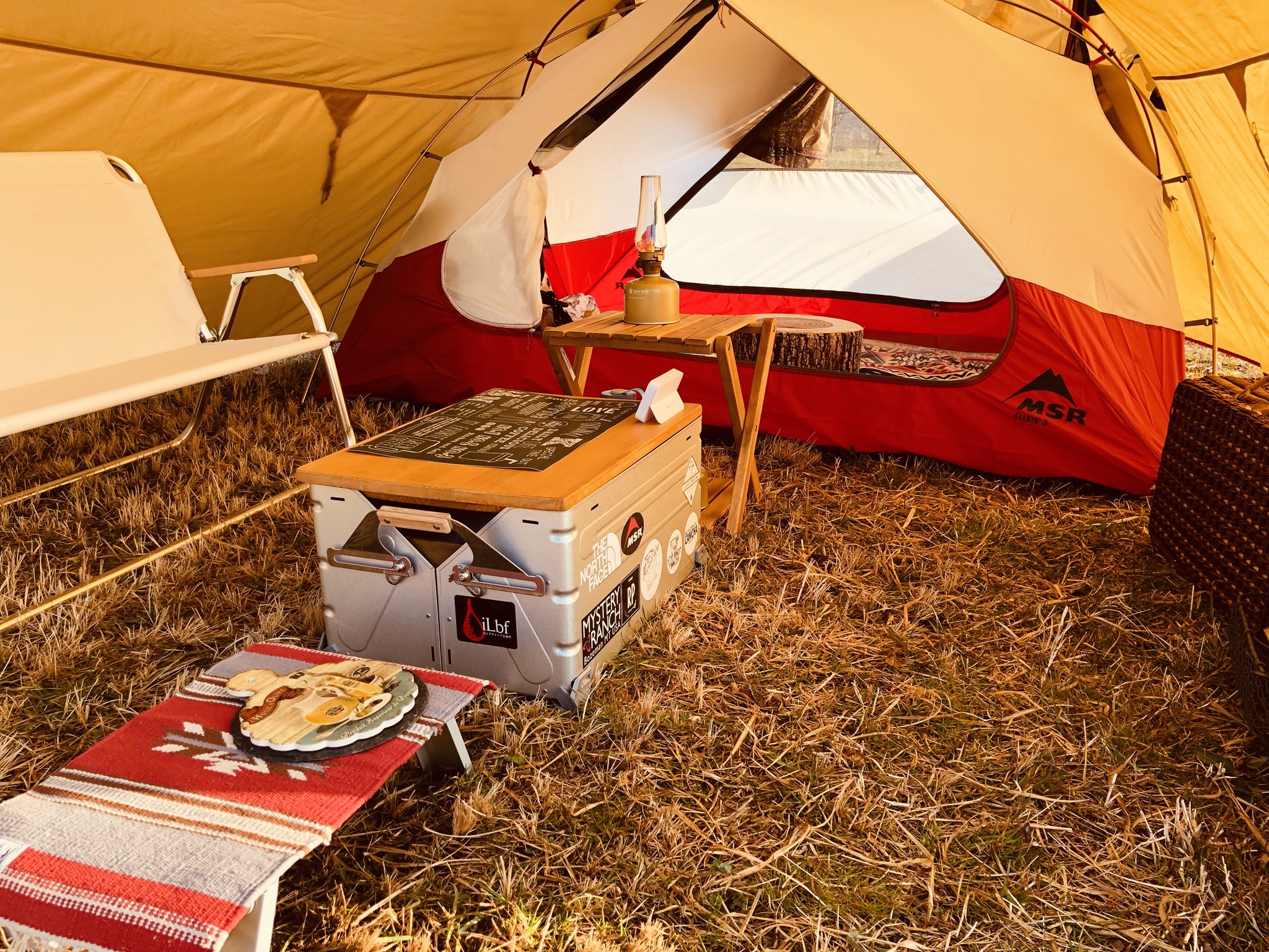 キャン茶@CAMCHA on X: 