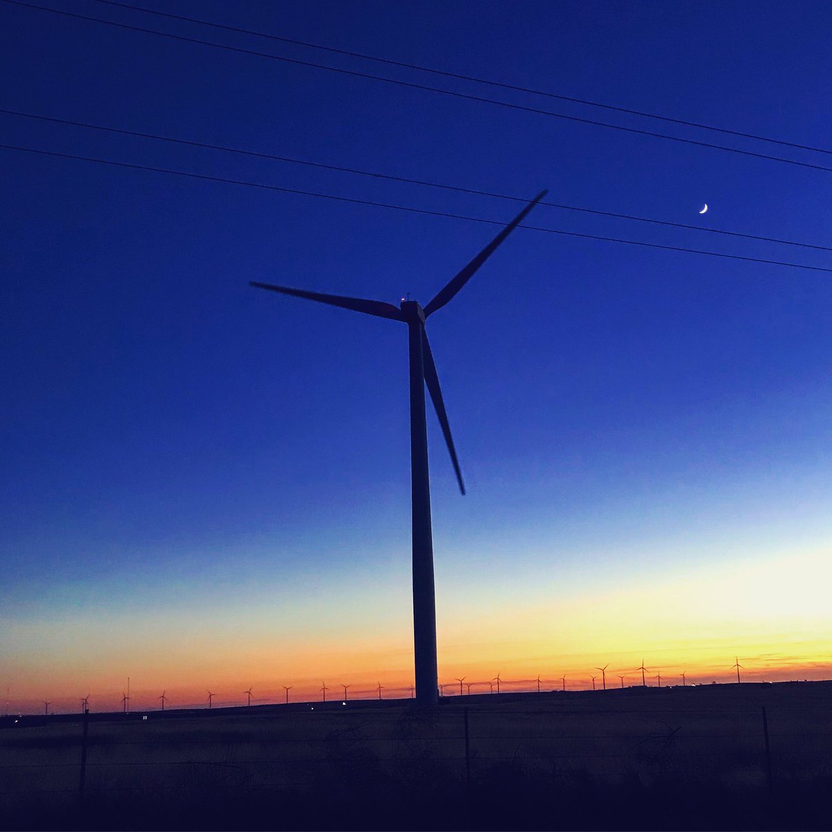 tobicummings4's tweet photo. windmills :) https://t.co/CTB1l36HUf