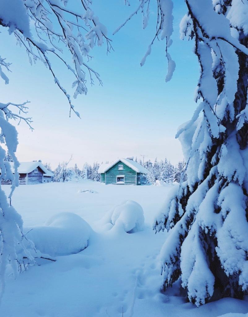 RuggedCommerce's tweet photo. "A little hibernation is good for the mind." Michaela Chung. #Winter #RuggedCommerce https://t.co/Eh0ESnvFq6