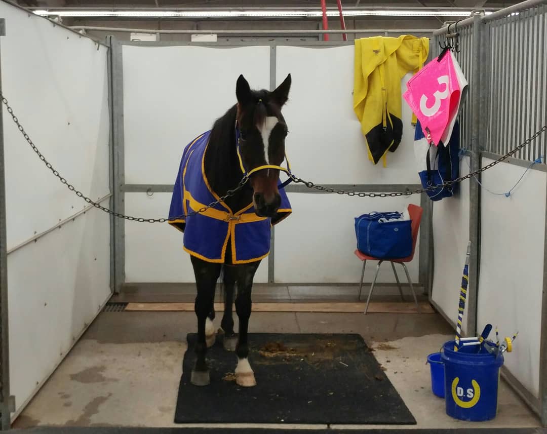 SugarDoyle's tweet photo. In to go Friday...
R7 3 LOVEY PARK
R8 5 DUSTYLANESAM
R9 1 HOWMAC DIAMOND
#PaddockPics #HarnessRacing #WinterRacing #HitMe https://t.co/Llr7OoHjBn