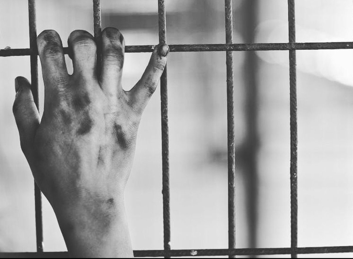 _ackermanLev's tweet image. “ʏᴏᴜ ᴘᴜᴛ ᴍᴇᴀɴɪɴɢ ɪɴᴛᴏ ᴍʏ ʟɪғᴇ ᴛʜᴀᴛ ᴏɴᴄᴇ ᴅɪᴅɴ’ᴛ ʜᴀᴠᴇ ɪᴛ”

-sʜɪᴘs ᴡ/ ᴄʜᴇᴍ 
-ᴍᴜʟᴛɪsʜɪᴘᴘᴇᴅ 
-ᴘᴀɴsᴇxɪᴀʟ 
-ᴇxᴘᴇʀɪᴇɴᴄᴇᴅ ʀᴘᴇʀ 
-ᴅᴇᴛᴀɪʟᴇᴅ