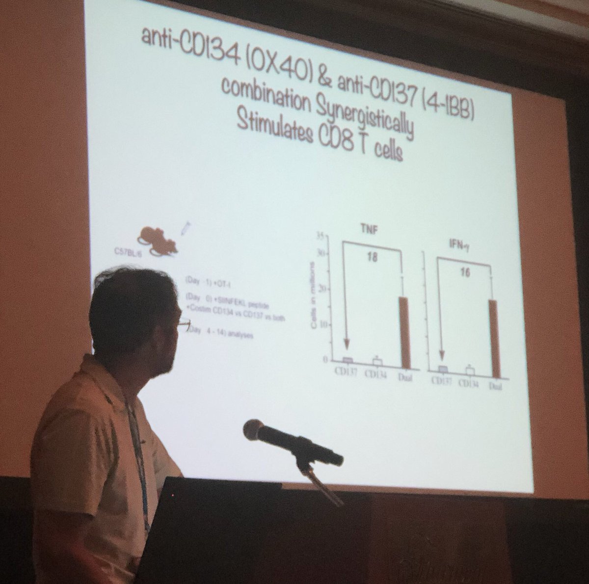 BernardAFox's tweet photo. * SLIDE SET 2* Dr Anthony Vella Immunology Chair @UConn talks @agon_ox #DeepDive19 /Explains how Dual Anti- #OX40 & #41BB (Orthomab) May be working/ will be interested 2 see results of @pfizer combo clinical trial? @sitcancer @ASCO #ImmunoOnc19 #Finishcancer #maui https://t.co/mvoOWsEoj7