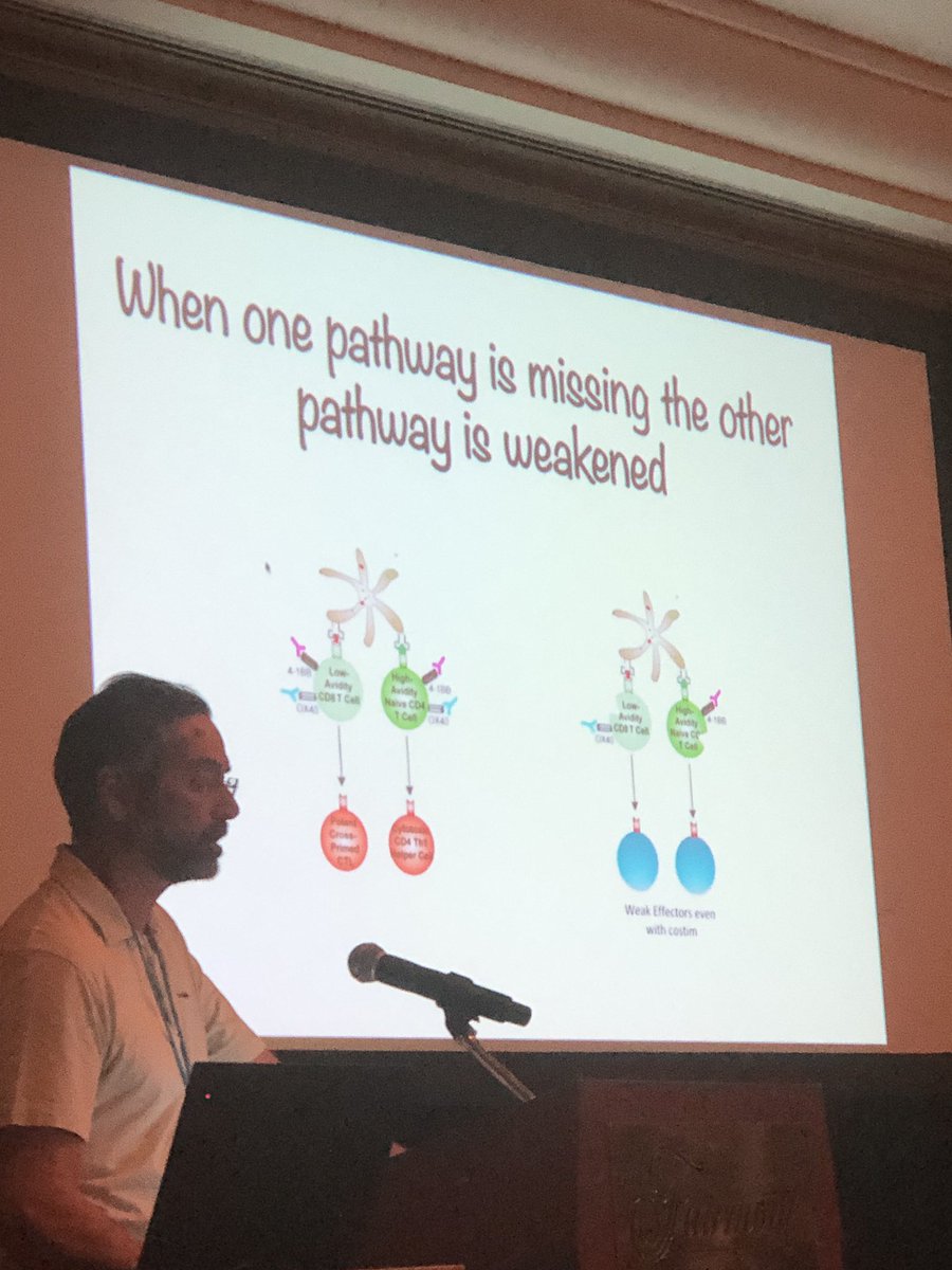 BernardAFox's tweet photo. * SLIDE SET 2* Dr Anthony Vella Immunology Chair @UConn talks @agon_ox #DeepDive19 /Explains how Dual Anti- #OX40 & #41BB (Orthomab) May be working/ will be interested 2 see results of @pfizer combo clinical trial? @sitcancer @ASCO #ImmunoOnc19 #Finishcancer #maui https://t.co/mvoOWsEoj7