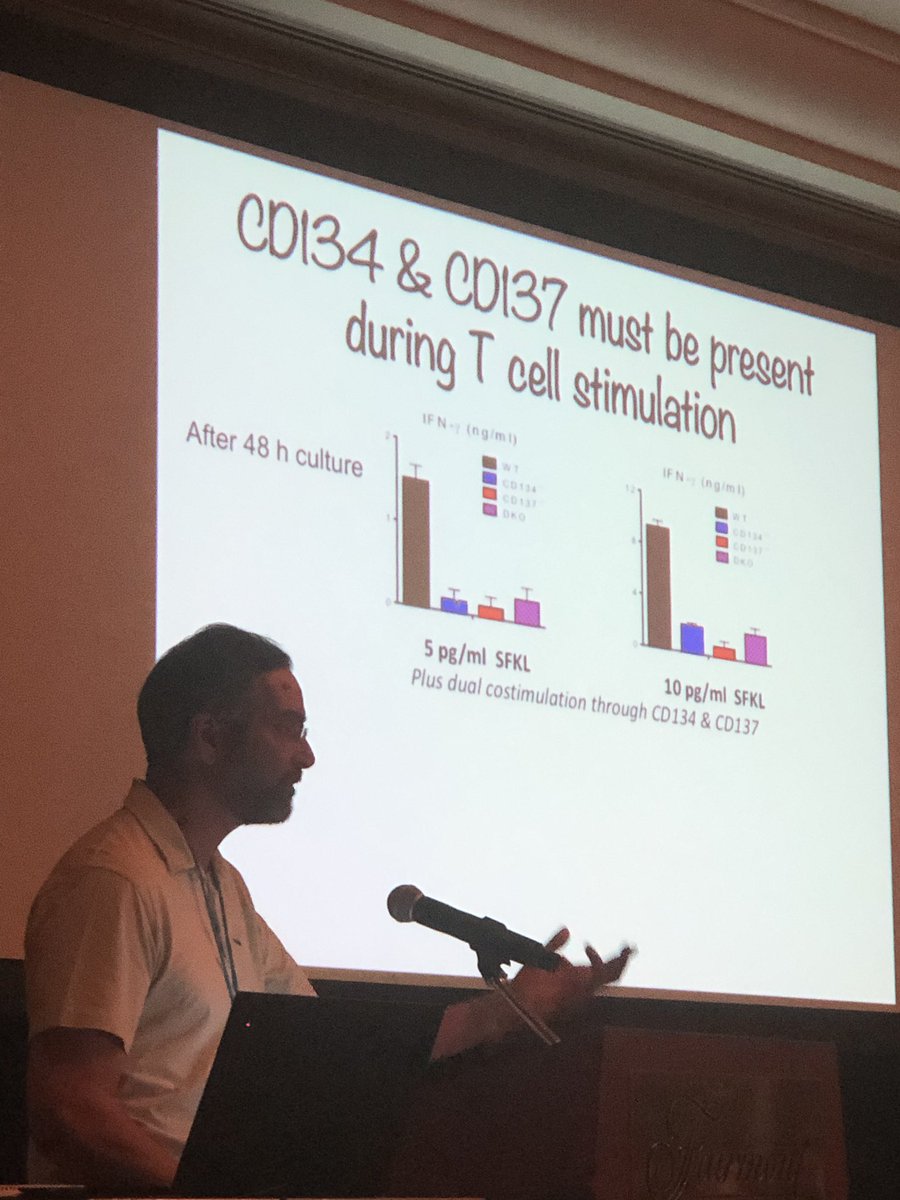 BernardAFox's tweet photo. * SLIDE SET 2* Dr Anthony Vella Immunology Chair @UConn talks @agon_ox #DeepDive19 /Explains how Dual Anti- #OX40 & #41BB (Orthomab) May be working/ will be interested 2 see results of @pfizer combo clinical trial? @sitcancer @ASCO #ImmunoOnc19 #Finishcancer #maui https://t.co/mvoOWsEoj7