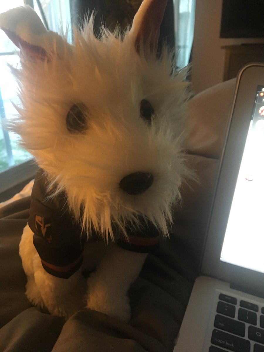 A sweet little pup came to live with me for my birthday! I love you <a href="/BarkAndreFurry/">Bark-André 🌈</a>! He helping me to do my work! Thank you Maxine my Bean!