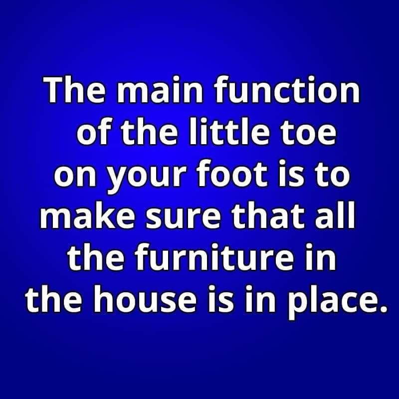 WizardServ's tweet image. #mainfunction #littletoe #furniture 
#wizardpropertyservices 
#notmyimage