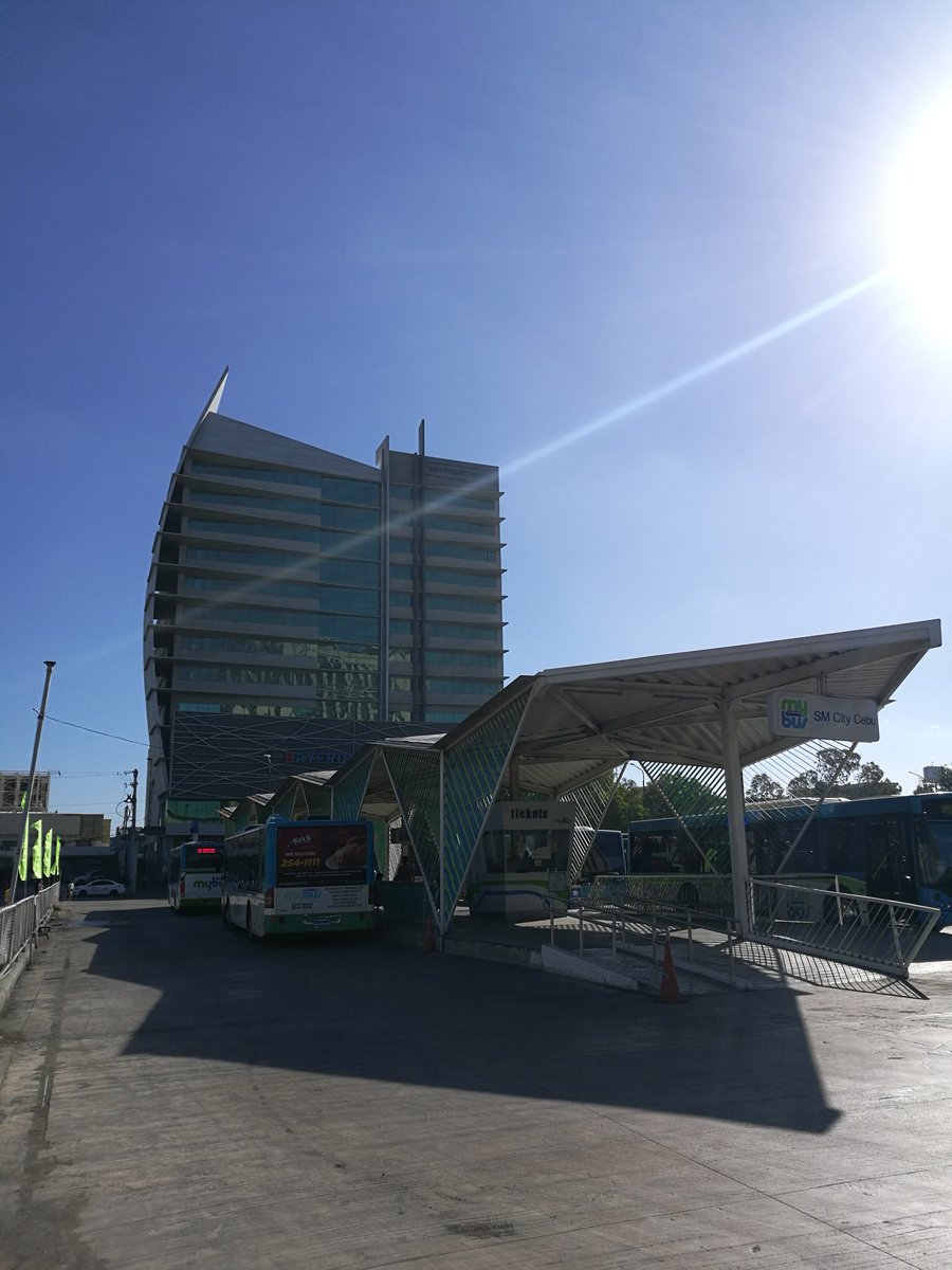 Avidly WordPress tweet media