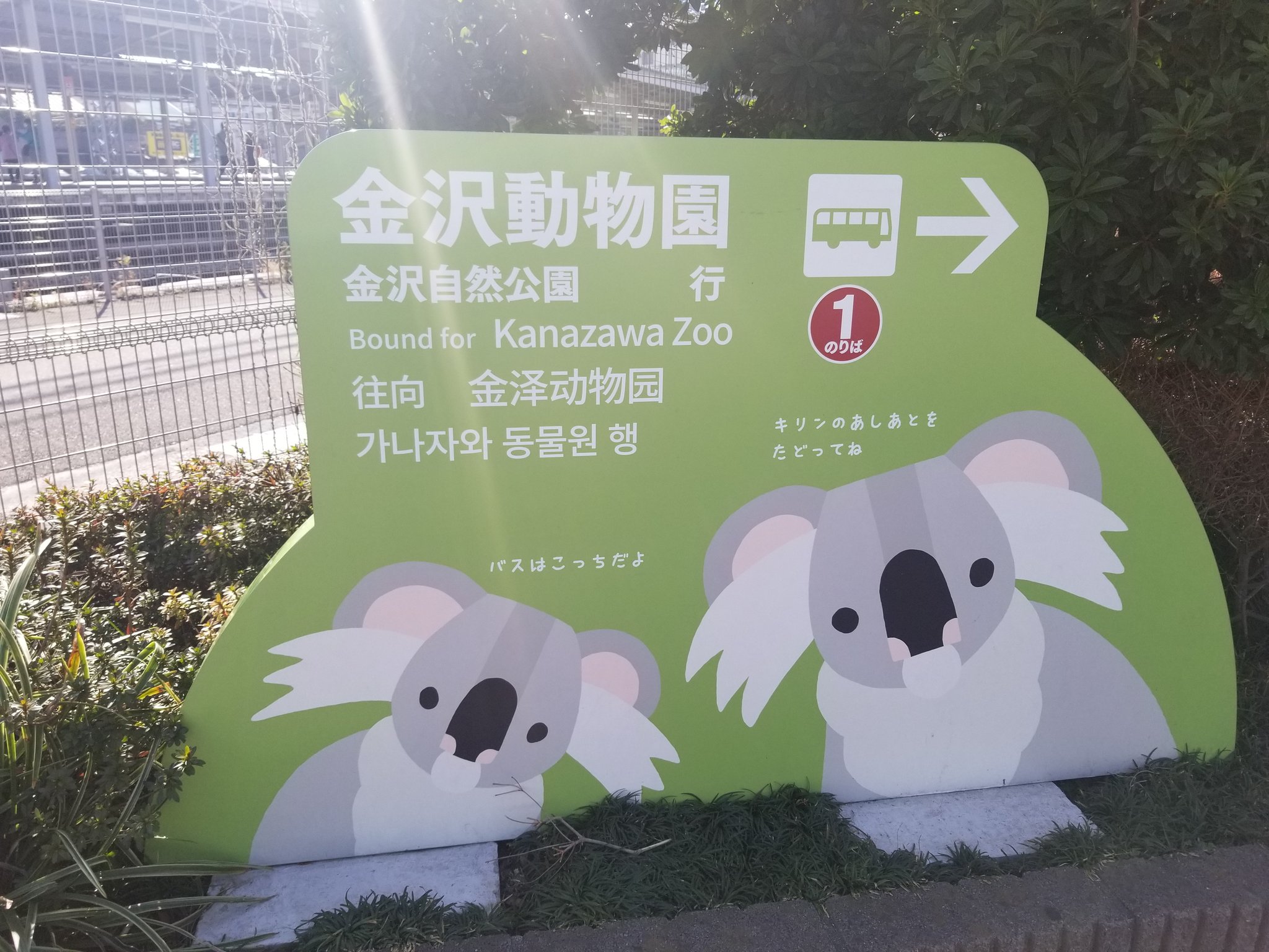 始祖鳥堂まふ M A F キリンのあしあとをたどってね T Co R2a2wszbr6 Twitter
