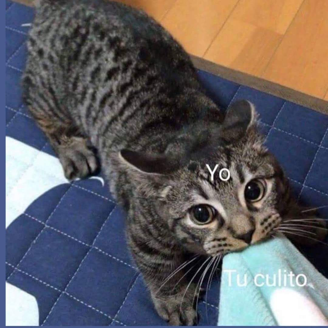 FermarSoy's tweet photo. Yo en el amor. https://t.co/RuciJ1d1Ui