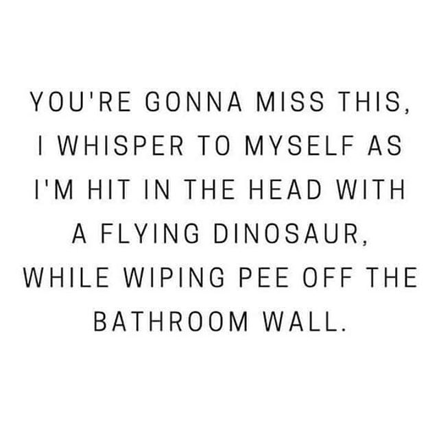 emmalydiaking's tweet photo. oh the truth in this.. not that it was dinosaurs thrown at my head but titus dropped a full jar of peanutbutter on my toes the other day and we did have to pay $100 because ethaniel flushed a toy down the toilet. Then adding in being sleep deprived and o… https://t.co/wc0oJ9rLGi https://t.co/FV8jops0mn