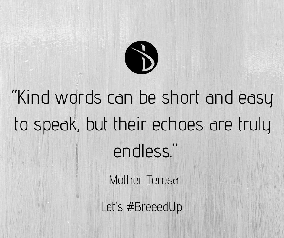 Kind words do not cost much. Yet they accomplish much! 
#breeedup #MotherTeresa #kindwords #easytospeak #shortsayings #endless #sports #costmuch #patientlywaiting #BreeedupSportsQuotes #SportsQuotes #dynamicCharacter #strongcharacter #fitnesslifestyle #gymclothes #letsbreeedup