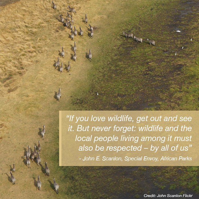 If you love #wildlife, get out &amp; see it; you may also be helping its survival. Good tourism = local jobs &amp; when local people have a stake in it they'll be the best protectors of wildlife. My #ProtectingOurWildlife piece <a href="/guardian/">The Guardian</a> goo.gl/nRUFZR #WorldWildlifeDay #WWD2019