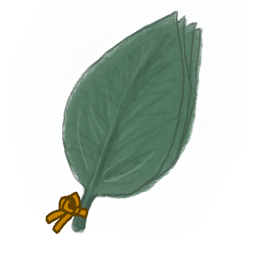 どくだみのtwitterイラスト検索結果