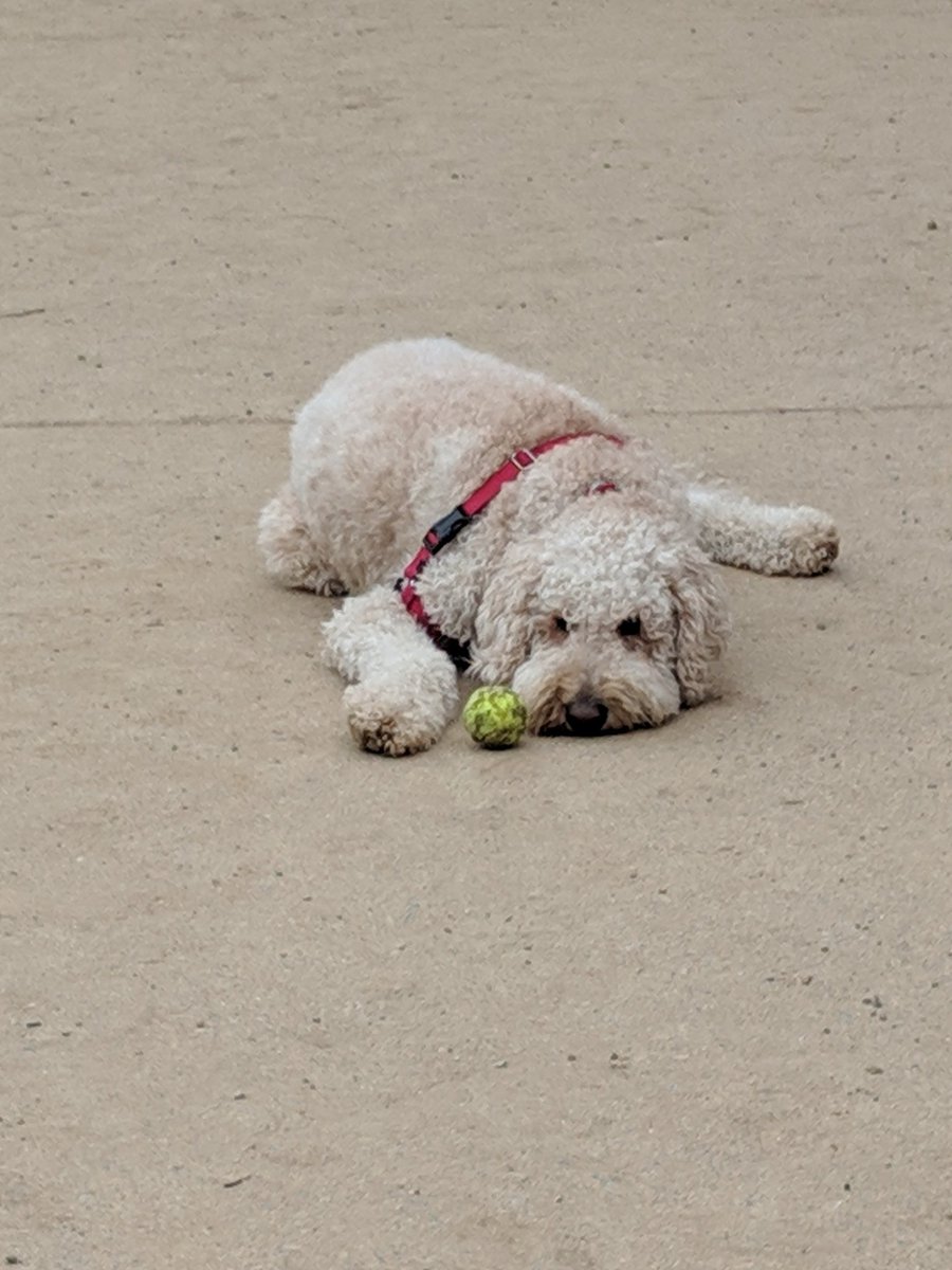 Alyssa Constad tweet media