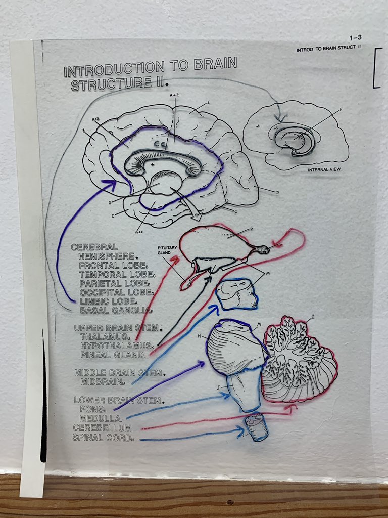 nancy_jo_smith's tweet image. In honor of flashback Friday and my pregrad advisor Tom Minor. Came across these gems 💎 while cleaning out his lab space. Wonder just how old they are. For anyone wondering what they are...google transparencies.  #tom #oldschool #learningandbehavior