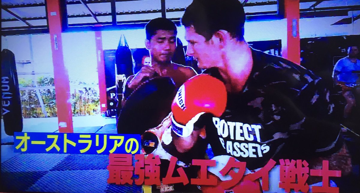 チャドコリンズ チャドコリンズ