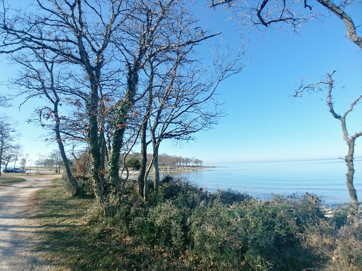 EARLY IN THE MORNING WALK 🌊photo credit: istrien-pur.com #outwiththedogs #whatabeautifulday #westcoast #istriaoffseason #notouristsaround #offthebeatentrail #istrienpur