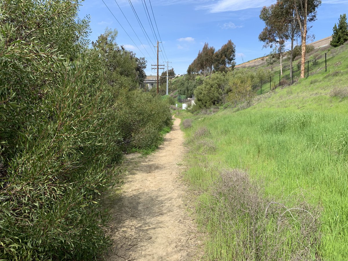 grunner01's tweet image. My run earlier today, the run felt good a steady 5.0 miles. A lot of sweating and congestion to get out of my body, but the run felt good. Also no lower back pain 👍. #trailrunning #gettinghealthy #coldbug #beingsicksucks #perfectweather #painfreerun