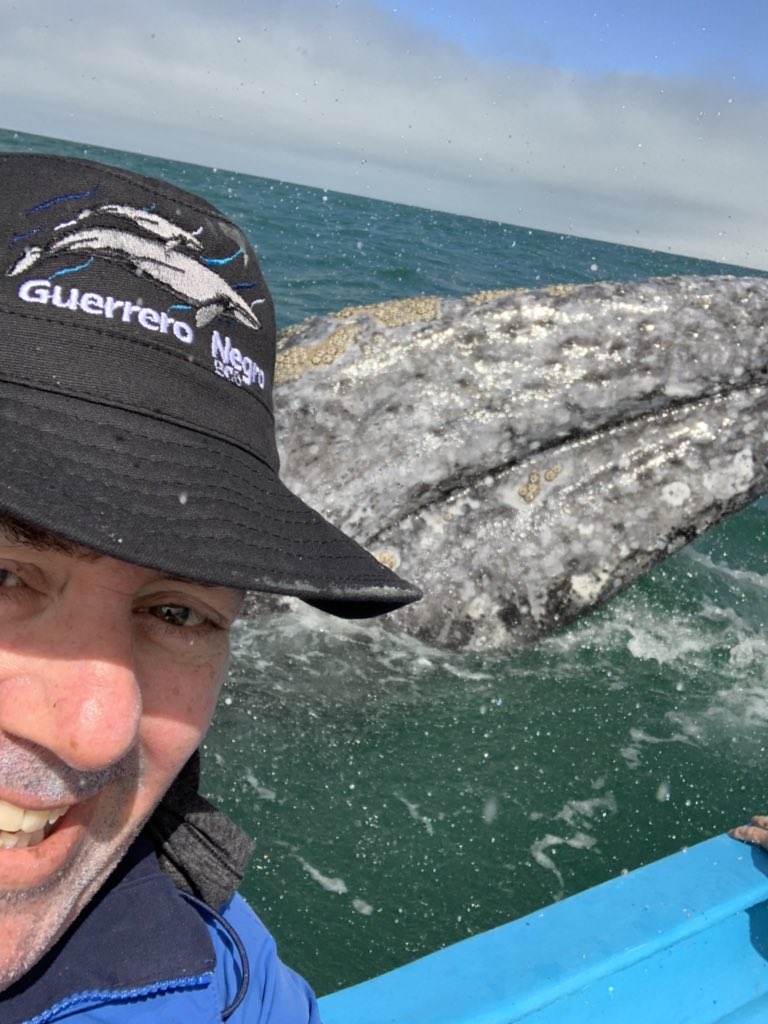 CrushNetworks's tweet photo. Road trip with @joeloleson to find venue for next #SharePoint Saturday in Mexico. Stopped by Guerrero Negro, Baja California Sur to spend some time with the Gray Whales! @jeffteper @dharkangel @SoCalO365 @IAMCPSanDiego @SPS_SD @ShrPntKnight @JustinSlagle @maryjofoley #CrushingIT https://t.co/e2iE9NjrMi