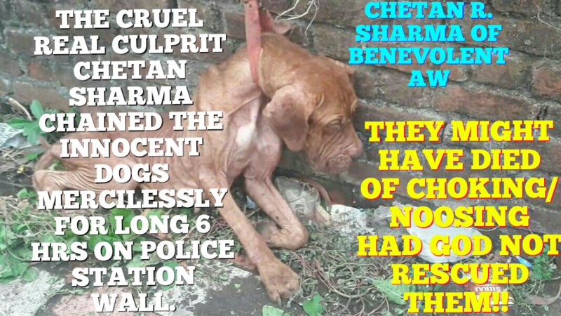 Justice for dog lover doctor and his dogs tortured by NGO AW CHETAN &amp; OTHERS! Plz sign: change.org/en-GB/petition…